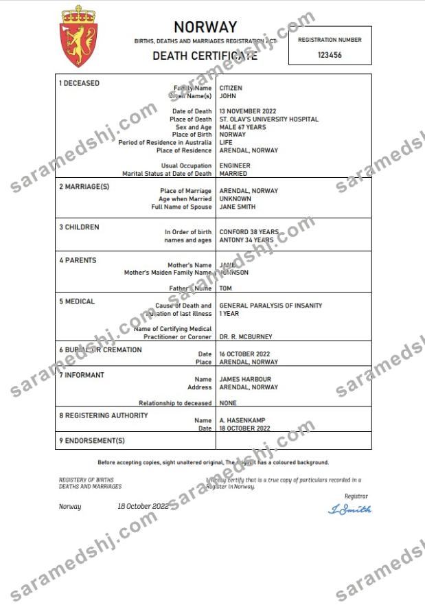 Norway vital record death certificate Word and PDF template